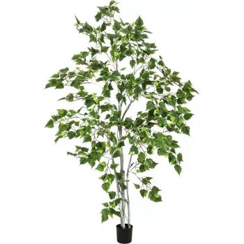 EUROPALMS Τεχνητό φυτό σημύδα 180cm 82505231