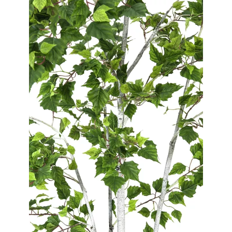 EUROPALMS Τεχνητό φυτό σημύδα 180cm 82505231