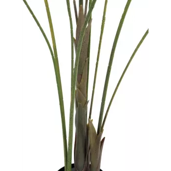 EUROPALMS Μεγαλόφυλλη Areca Τεχνητό φοίνικας Areca, 185cm (82509442)