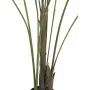 EUROPALMS Μεγαλόφυλλη Areca Τεχνητό φοίνικας Areca, 185cm (82509442)