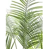 EUROPALMS Μεγαλόφυλλη Areca Τεχνητό φοίνικας Areca, 185cm (82509442)