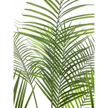 EUROPALMS Μεγαλόφυλλη Areca Τεχνητό φοίνικας Areca, 185cm (82509442)