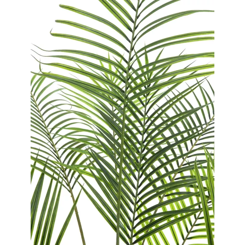 EUROPALMS Μεγαλόφυλλη Areca Τεχνητό φοίνικας Areca, 185cm (82509442)