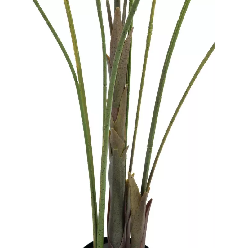 EUROPALMS Μεγαλόφυλλη Areca Τεχνητό φοίνικας Areca, 185cm (82509442)