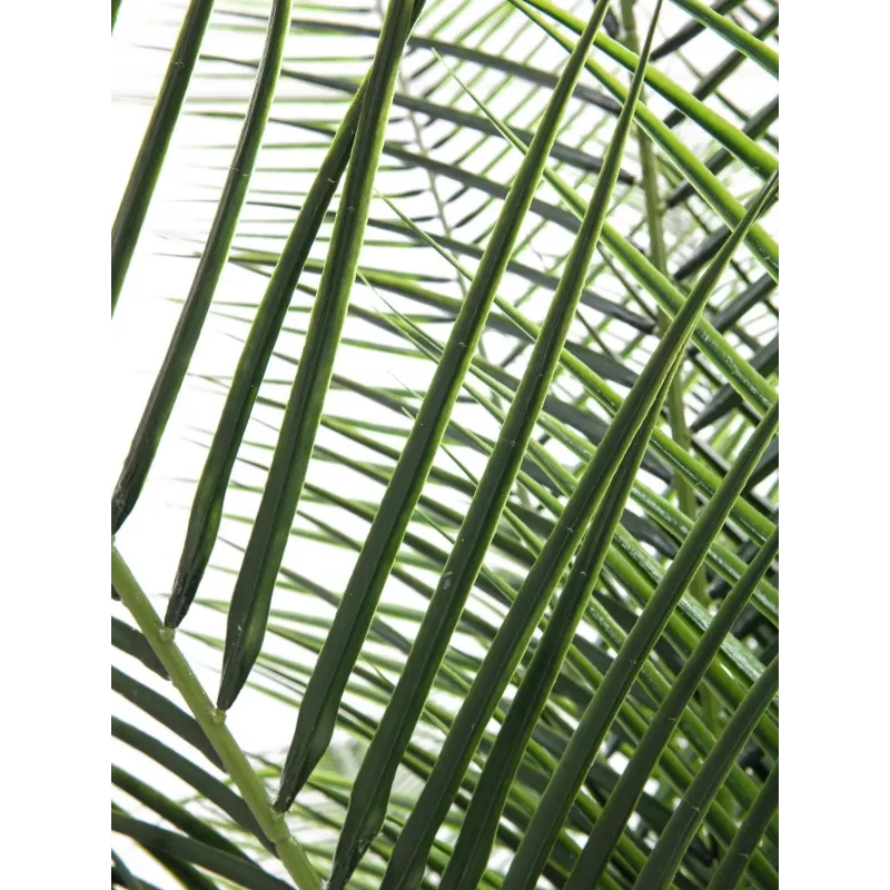 EUROPALMS Phoenix Palm Deluxe Τεχνητό φυτό 220cm 82509722