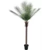 EUROPALMS Phoenix Palm Deluxe Τεχνητό φυτό 220cm 82509722