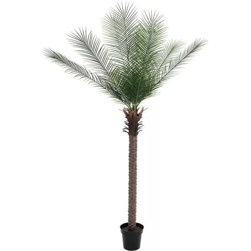 EUROPALMS Phoenix Palm Deluxe Τεχνητό φυτό 220cm 82509722