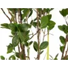EUROPALMS Αειθαλής θάμνος με γρασίδι τεχνητό φυτό, 120 cm 82600183