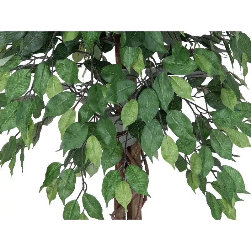 EUROPALMS Ficus Benjamina πολύκλωνο τεχνητό φυτό, 180 cm 82506126