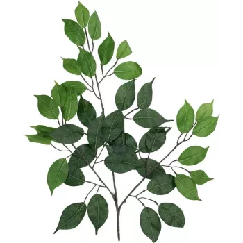 EUROPALMS Τεχνητό κλαδί Ficus-Benjamina, συσκευασία 12 τεμ. 82506101