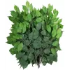 EUROPALMS Τεχνητό κλαδί Ficus-Benjamina, συσκευασία 12 τεμ. 82506101
