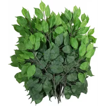 EUROPALMS Τεχνητό κλαδί Ficus-Benjamina, συσκευασία 12 τεμ. 82506101