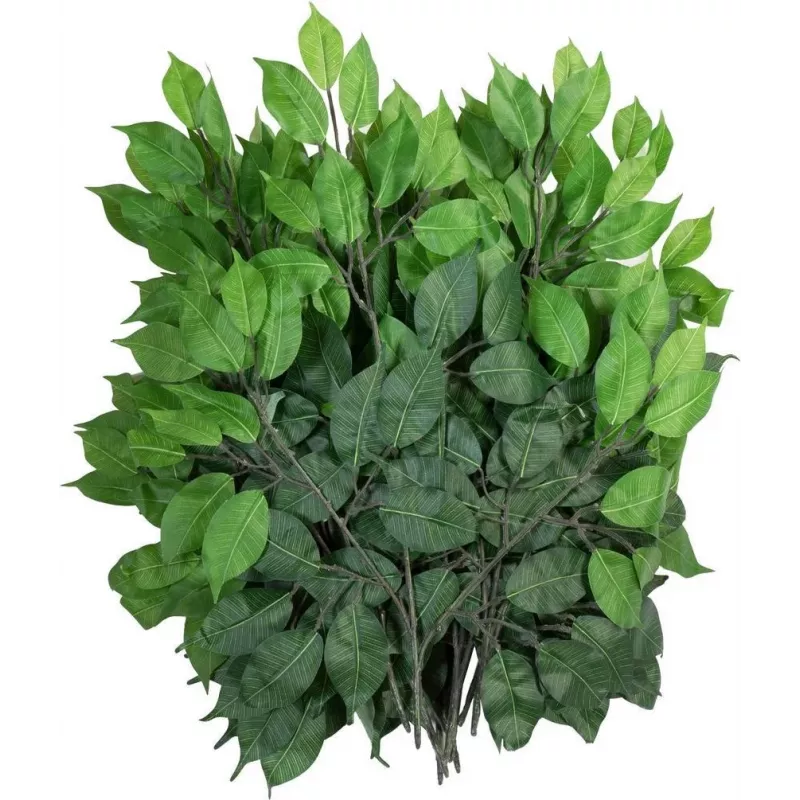 EUROPALMS Τεχνητό κλαδί Ficus-Benjamina, συσκευασία 12 τεμ. 82506101