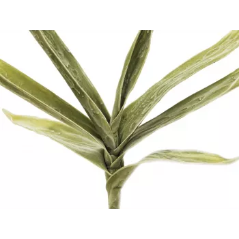 EUROPALMS Τεχνητό κλαδί Yucca (EVA), Πράσινο 82531063