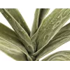 EUROPALMS Τεχνητό κλαδί Yucca (EVA), Πράσινο 82531063