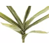 EUROPALMS Τεχνητό κλαδί Yucca (EVA), Πράσινο 82531063
