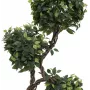 EUROPALMS Ficus Multi Spiral Trunk Τεχνητό φυτό, 160cm 82501563