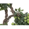 EUROPALMS Ficus Multi Spiral Trunk Τεχνητό φυτό, 160cm 82501563