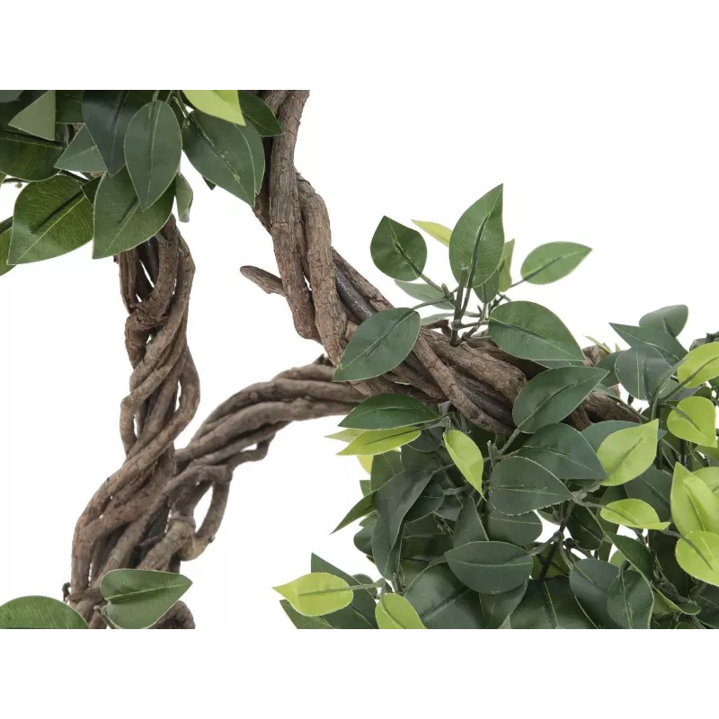 EUROPALMS Ficus Multi Spiral Trunk Τεχνητό φυτό, 160cm 82501563