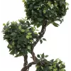 EUROPALMS Ficus Multi Spiral Trunk Τεχνητό φυτό, 160cm 82501563