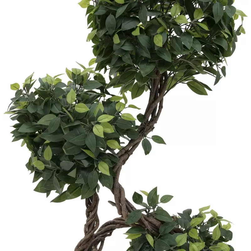 EUROPALMS Ficus Multi Spiral Trunk Τεχνητό φυτό, 160cm 82501563