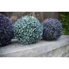 EUROPALMS Τεχνητή μπάλα γρασιδιού, Μπλε, 22cm 82606975