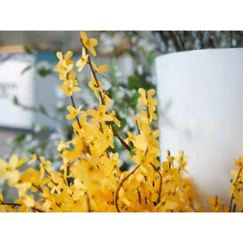 EUROPALMS Τεχνητός θάμνος forsythia, 60cm 82505629