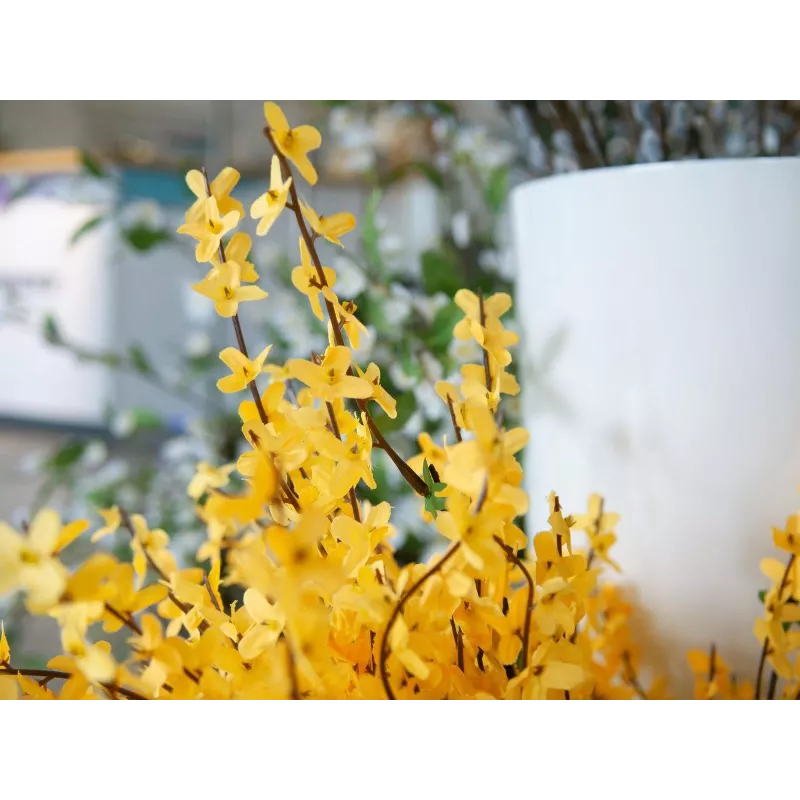 EUROPALMS Τεχνητός θάμνος forsythia, 60cm 82505629