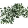 EUROPALMS Holland Ivy Bush Screen Classic, τεχνητό, 100 cm 82502212