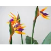 EUROPALMS τεχνητό φυτό Strelitzia, 90 cm 82540502