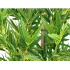 EUROPALMS Bambus deluxe, τεχνητό φυτό, 150cm 82509166