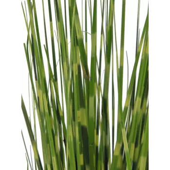 EUROPALMS Zebra Grass, τεχνητό, 90cm 82505863