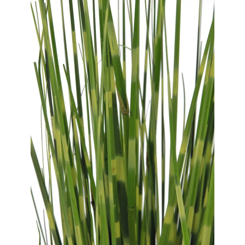 EUROPALMS Zebra Grass, τεχνητό, 90cm 82505863