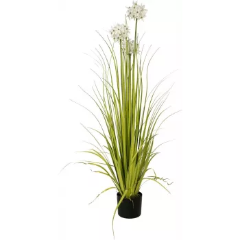 EUROPALMS τεχνητό φυτό Allium, λευκό, 120 cm 82600169