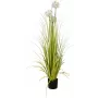 EUROPALMS τεχνητό φυτό Allium, λευκό, 120 cm 82600169