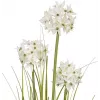 EUROPALMS τεχνητό φυτό Allium, λευκό, 120 cm 82600169