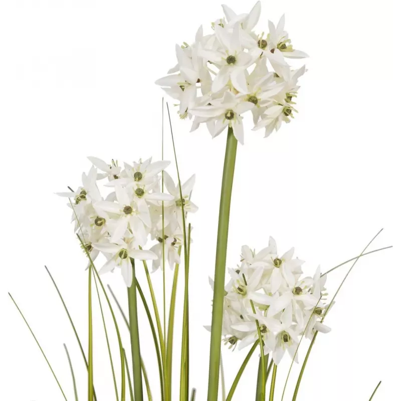 EUROPALMS τεχνητό φυτό Allium, λευκό, 120 cm 82600169