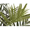 EUROPALMS Kentia-Palma τεχνητό φυτό 300cm 82511369