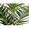 EUROPALMS Kentia-Palma τεχνητό φυτό 240cm 82511368