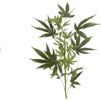 EUROPALMS τεχνητό κλαδί κάνναβης, 90cm, πράσινο 82506699