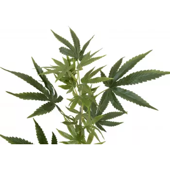 EUROPALMS τεχνητό κλαδί κάνναβης, 90cm, πράσινο 82506699