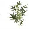 EUROPALMS τεχνητό κλαδί κάνναβης, 90cm, πράσινο 82506699