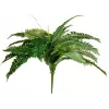 EUROPALMS Boston φτέρη τεχνητό φυτό, 53cm, πράσινο 82519934