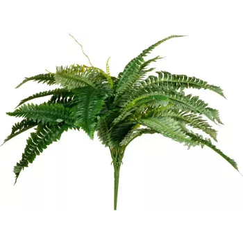 EUROPALMS Boston φτέρη τεχνητό φυτό, 53cm, πράσινο 82519934