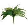 EUROPALMS Boston φτέρη τεχνητό φυτό, 53cm, πράσινο 82519934
