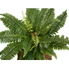 EUROPALMS Boston φτέρη τεχνητό φυτό, 53cm, πράσινο 82519934