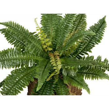 EUROPALMS Boston φτέρη τεχνητό φυτό, 53cm, πράσινο 82519934