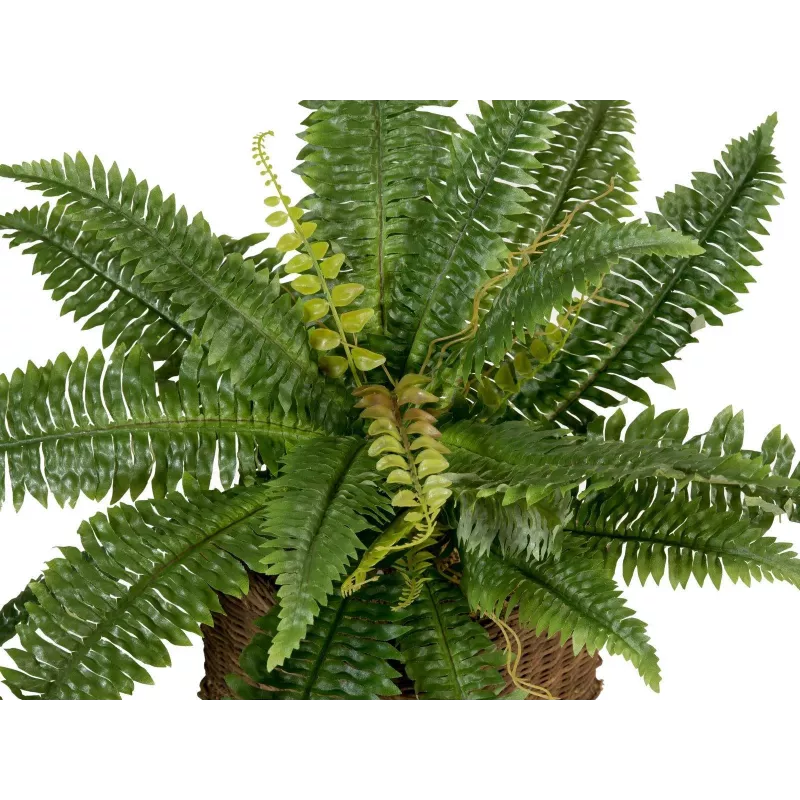 EUROPALMS Boston φτέρη τεχνητό φυτό, 53cm, πράσινο 82519934