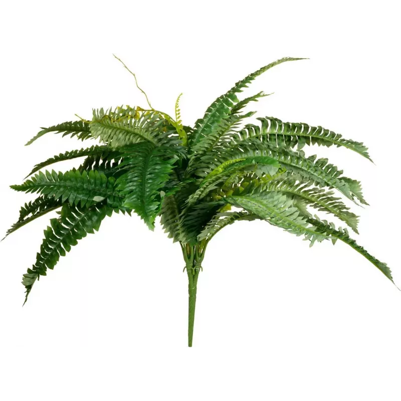 EUROPALMS Boston φτέρη τεχνητό φυτό, 53cm, πράσινο 82519934