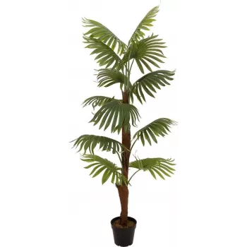 EUROPALMS Τεχνητό φυτό φοίνικας, 155cm 82509303